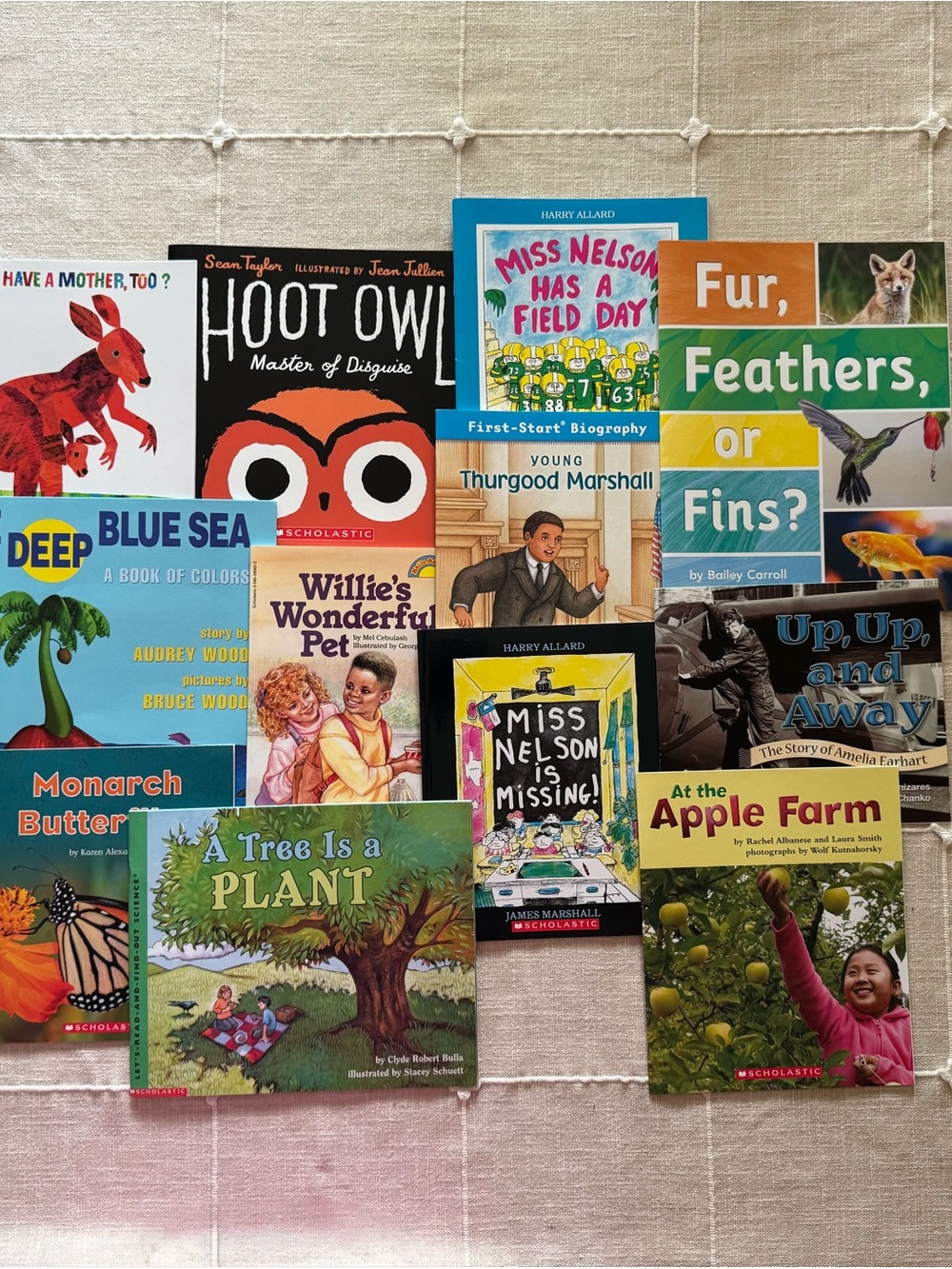 New! Scholastic book bundle NWT!